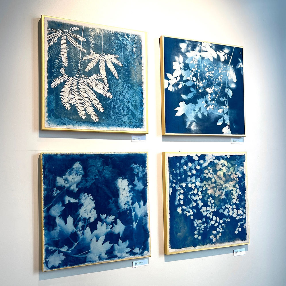 Beautiful Blue Botanicals, Cyanotype Workshop