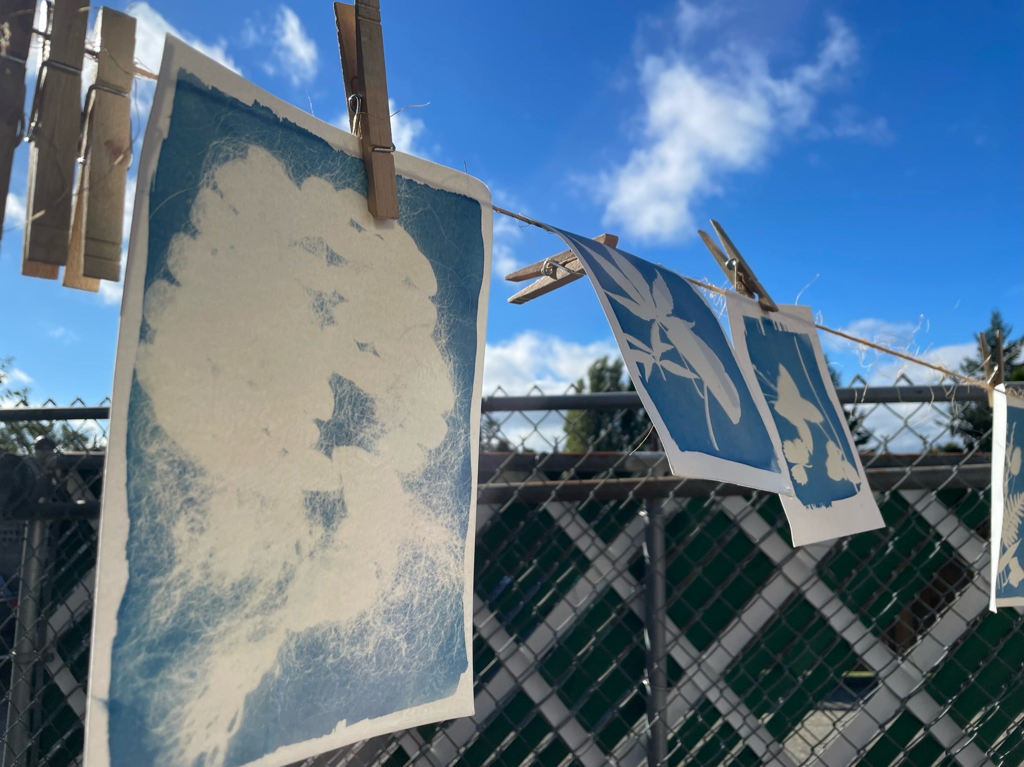 Beautiful Blue Botanicals, Cyanotype Workshop