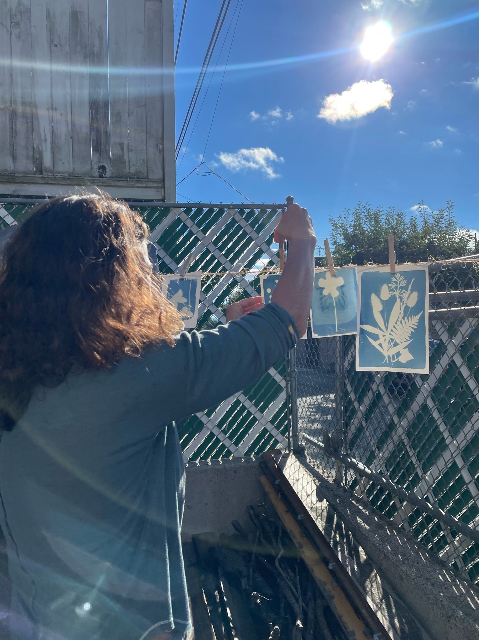 Beautiful Blue Botanicals, Cyanotype Workshop