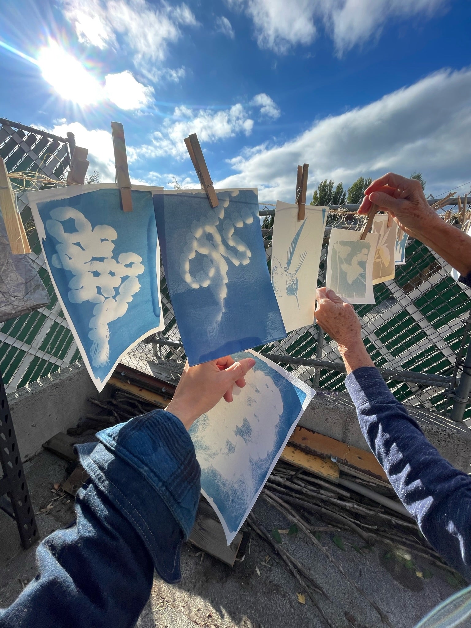 Beautiful Blue Botanicals, Cyanotype Workshop