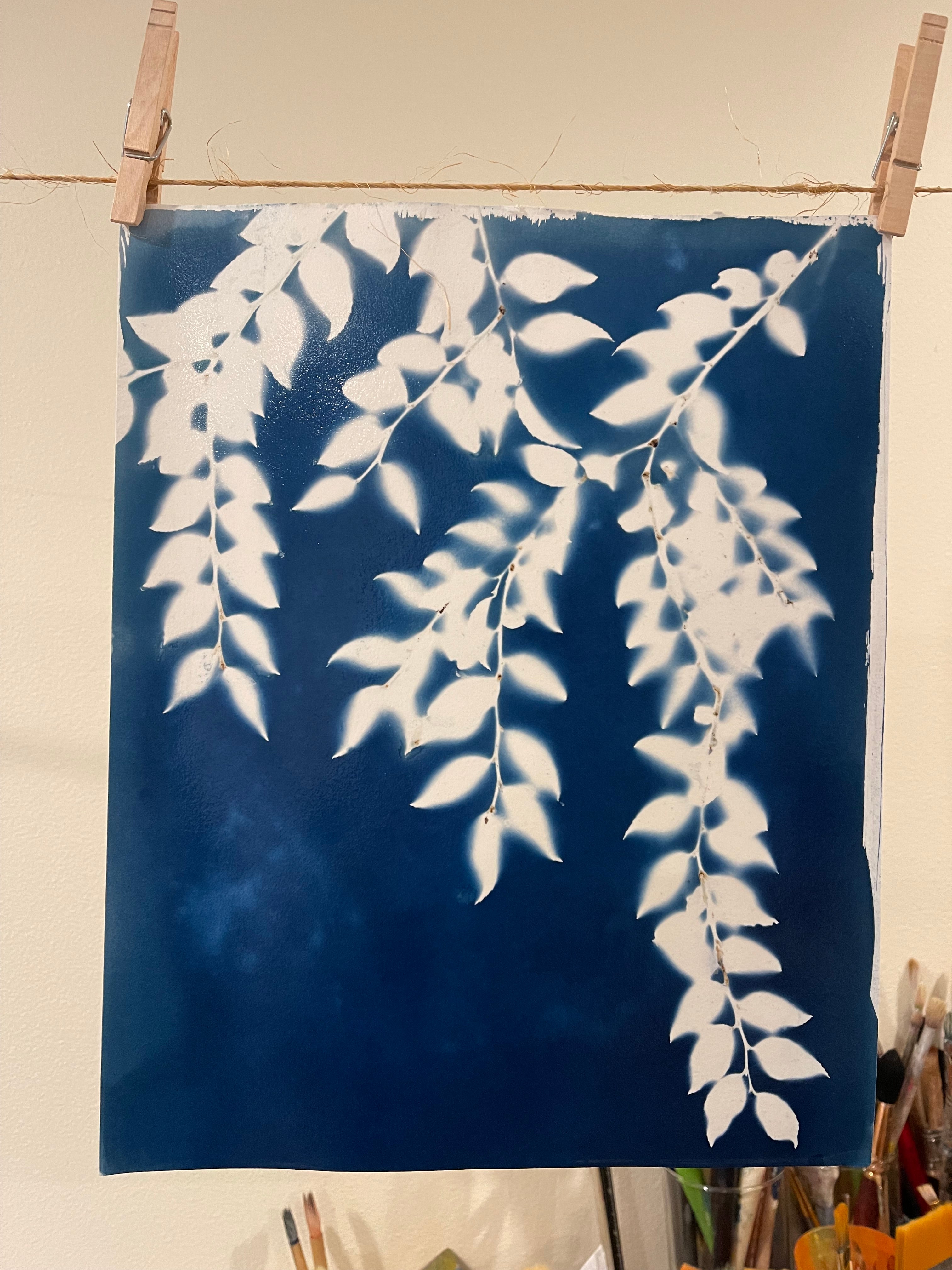 Beautiful Blue Botanicals, Cyanotype Workshop